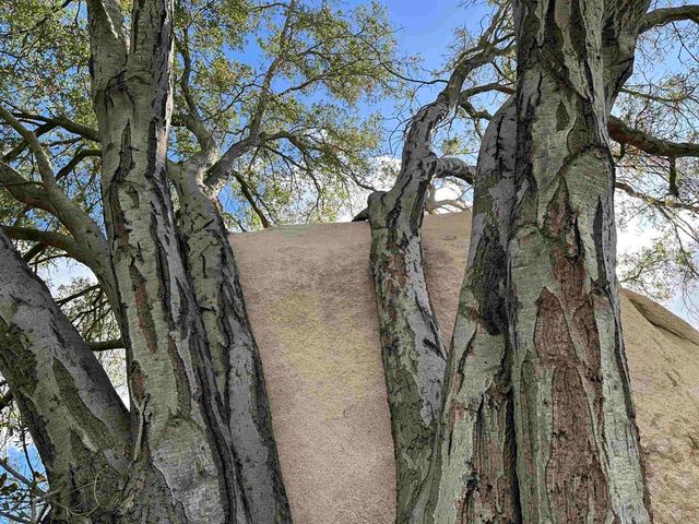 2494 Donnil Lane, Fallbrook, CA 92028