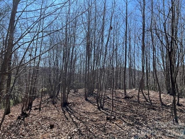 803254 Ivy Road 219, Mills River, NC 28759