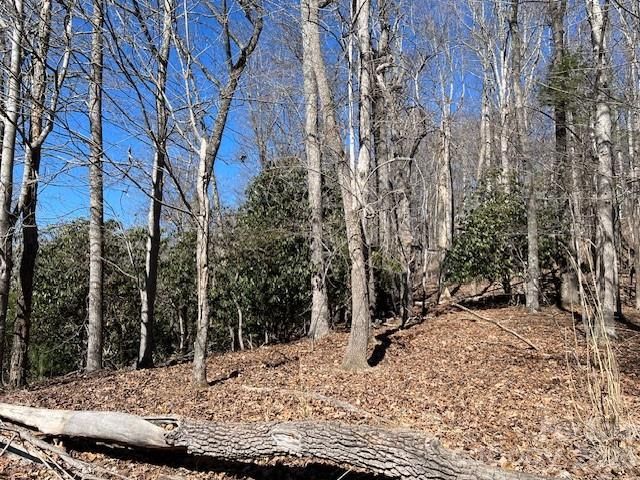 803254 Ivy Road 219, Mills River, NC 28759