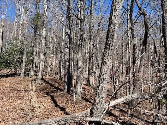 803254 Ivy Road 219, Mills River, NC 28759