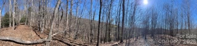 803254 Ivy Road 219, Mills River, NC 28759