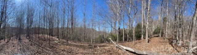 803254 Ivy Road 219, Mills River, NC 28759