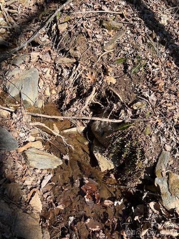 803254 Ivy Road 219, Mills River, NC 28759