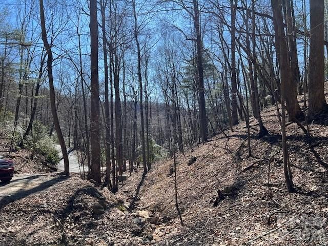 803254 Ivy Road 219, Mills River, NC 28759