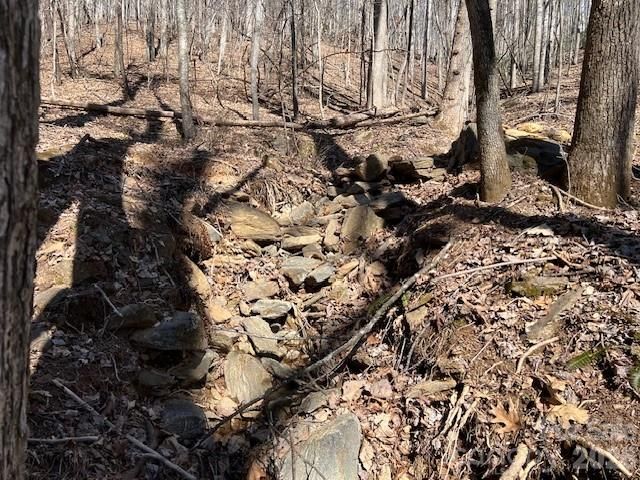 803254 Ivy Road 219, Mills River, NC 28759