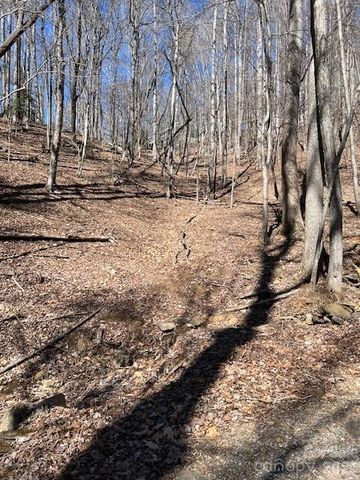 803254 Ivy Road 219, Mills River, NC 28759