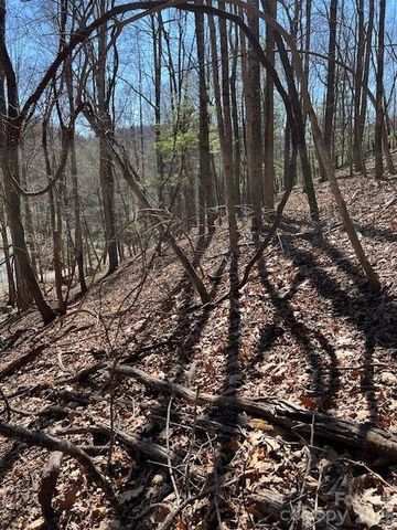 803254 Ivy Road 219, Mills River, NC 28759