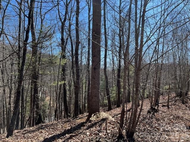 803254 Ivy Road 219, Mills River, NC 28759