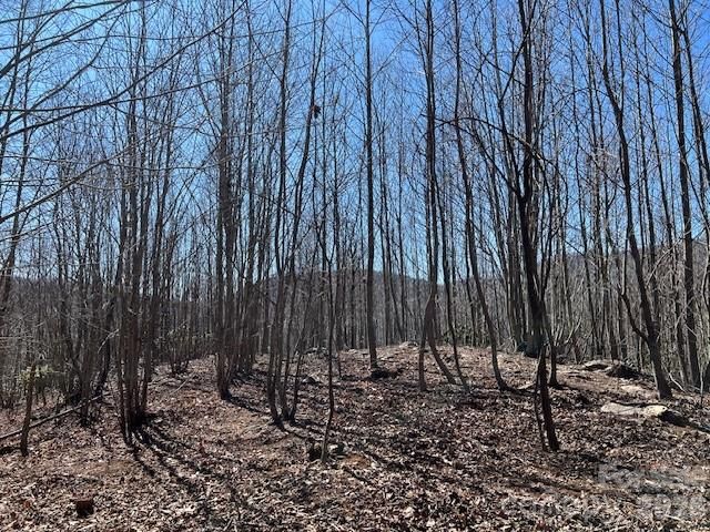 803254 Ivy Road 219, Mills River, NC 28759