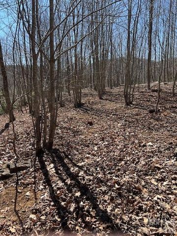 803254 Ivy Road 219, Mills River, NC 28759