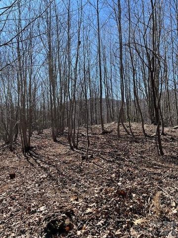 803254 Ivy Road 219, Mills River, NC 28759