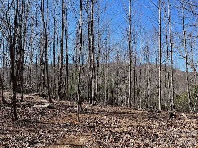 803254 Ivy Road 219, Mills River, NC 28759