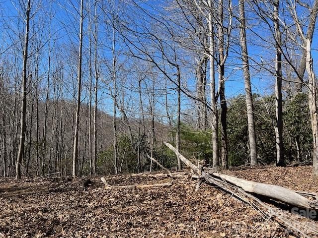 803254 Ivy Road 219, Mills River, NC 28759