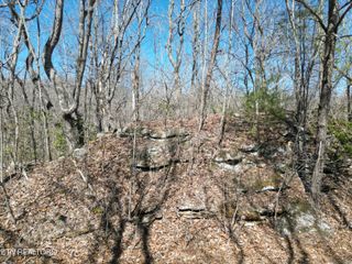 609 St George Drive, Crossville, TN 38558