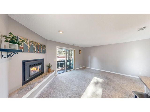 200 Riverside Dr Hallett-1, Estes Park, CO 80517