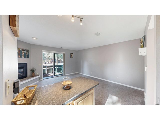 200 Riverside Dr Hallett-1, Estes Park, CO 80517