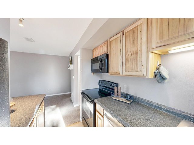 200 Riverside Dr Hallett-1, Estes Park, CO 80517