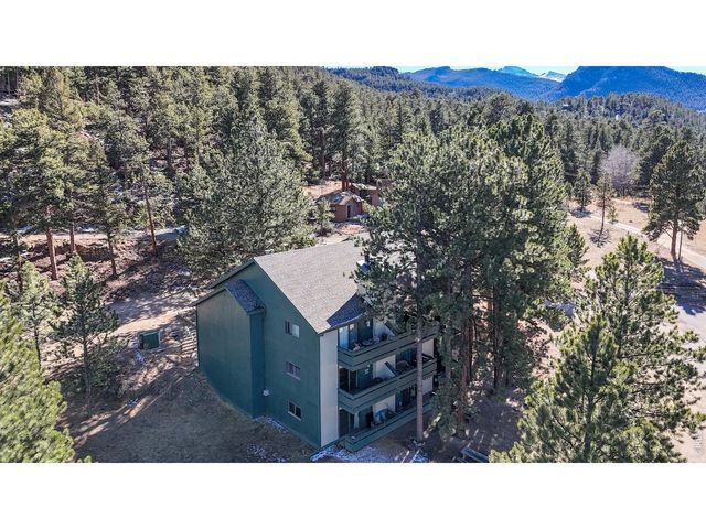 200 Riverside Dr Hallett-1, Estes Park, CO 80517