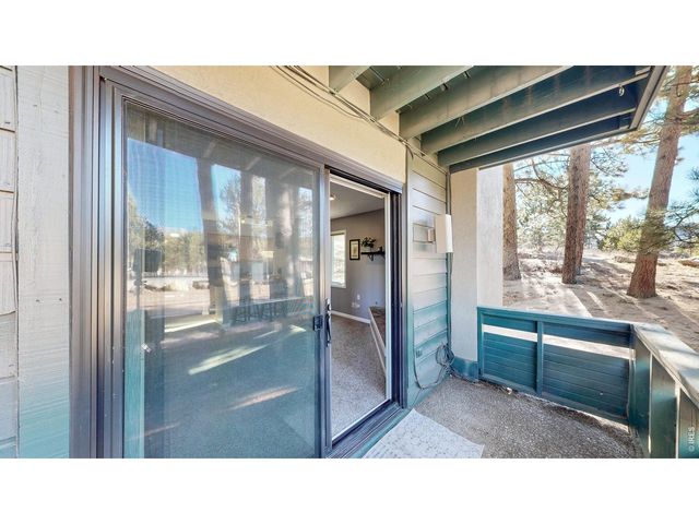 200 Riverside Dr Hallett-1, Estes Park, CO 80517