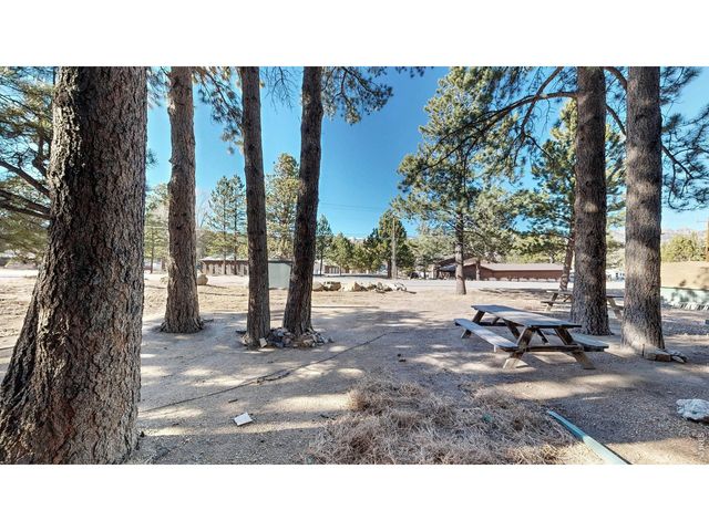 200 Riverside Dr Hallett-1, Estes Park, CO 80517