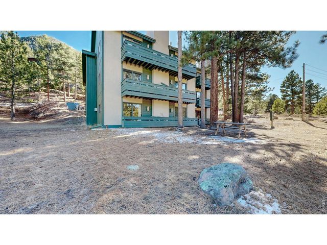 200 Riverside Dr Hallett-1, Estes Park, CO 80517