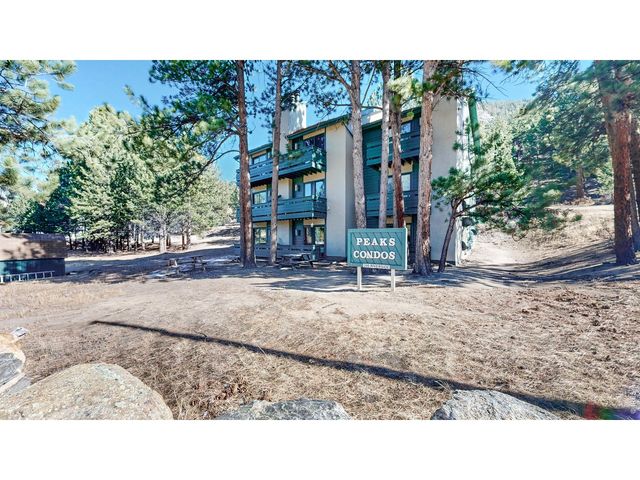 200 Riverside Dr Hallett-1, Estes Park, CO 80517