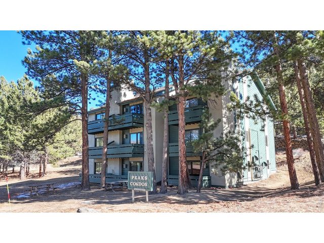 200 Riverside Dr Hallett-1, Estes Park, CO 80517