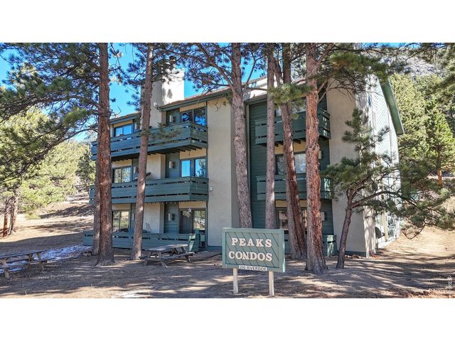 200 Riverside Dr Hallett-1, Estes Park, CO 80517