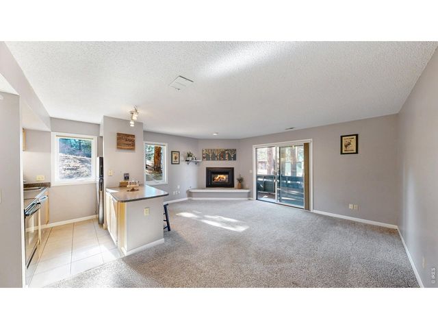 200 Riverside Dr Hallett-1, Estes Park, CO 80517