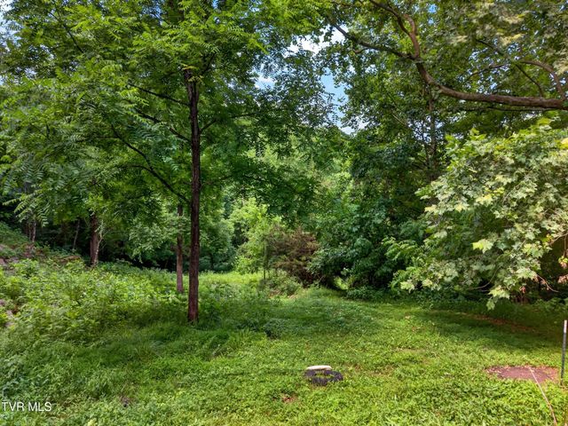2087 Bullen Valley Road, Thorn Hill, TN 37881