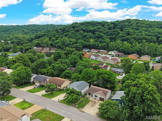 3836 Birch Drive, Imperial, MO 63052