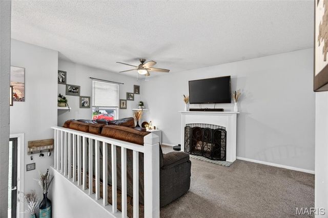 3836 Birch Drive, Imperial, MO 63052