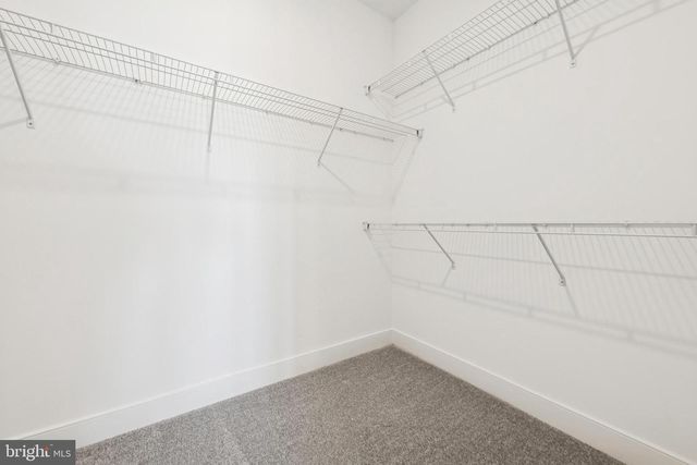 12654 DRUM CREEK WAY, Selbyville, DE 19975