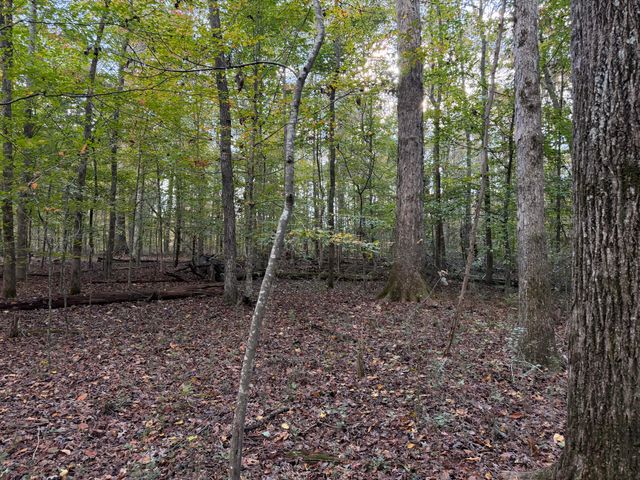 000 Co Rd 616, Athens, TN 37303