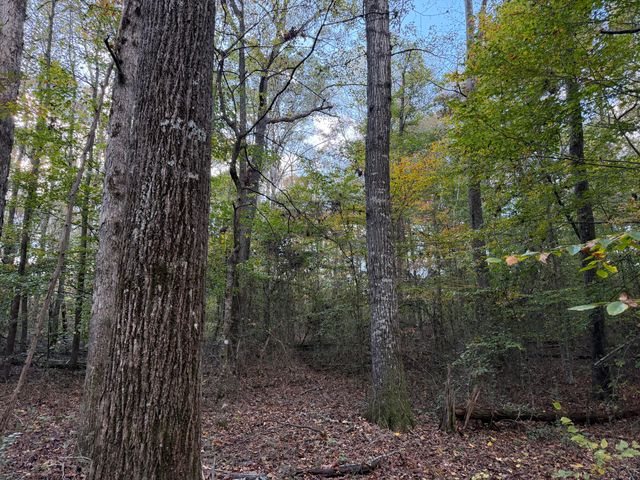 000 Co Rd 616, Athens, TN 37303