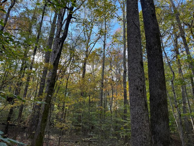 000 Co Rd 616, Athens, TN 37303