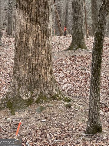 1225-1227 Oglethorpe Road, Jasper, GA 30143