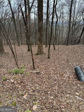 1225-1227 Oglethorpe Road, Jasper, GA 30143