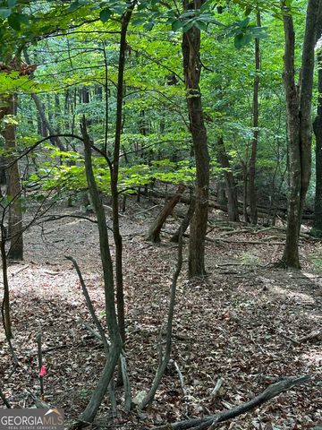 1225-1227 Oglethorpe Road, Jasper, GA 30143