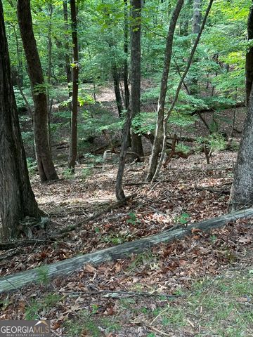 1225-1227 Oglethorpe Road, Jasper, GA 30143