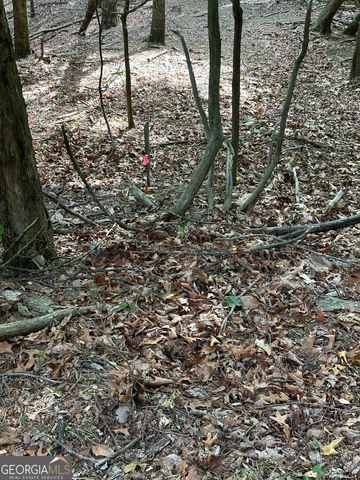 1225-1227 Oglethorpe Road, Jasper, GA 30143