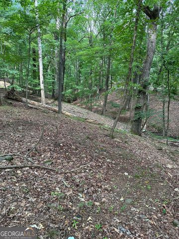 1225-1227 Oglethorpe Road, Jasper, GA 30143