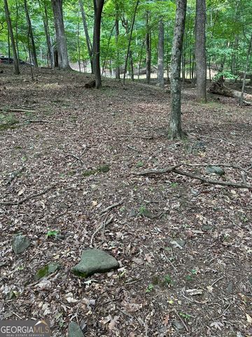 1225-1227 Oglethorpe Road, Jasper, GA 30143