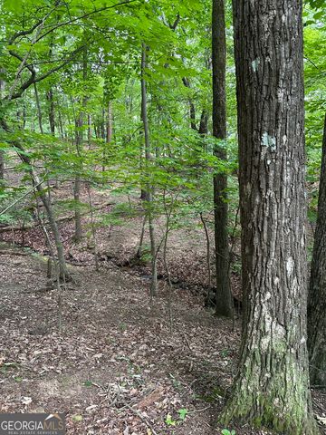 1225-1227 Oglethorpe Road, Jasper, GA 30143