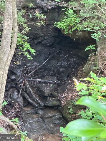 1225-1227 Oglethorpe Road, Jasper, GA 30143