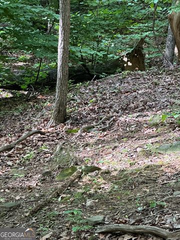 1225-1227 Oglethorpe Road, Jasper, GA 30143