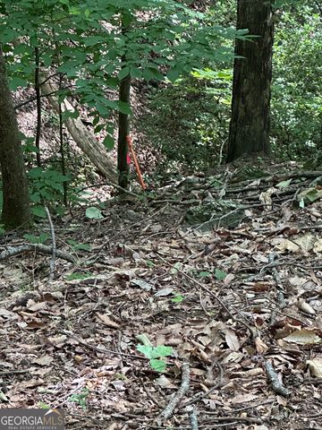 1225-1227 Oglethorpe Road, Jasper, GA 30143