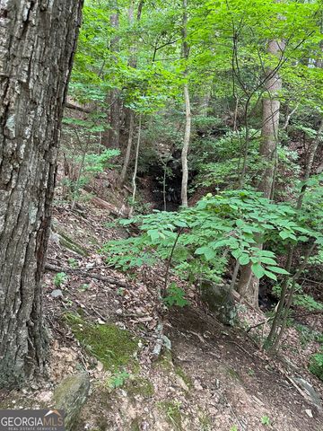 1225-1227 Oglethorpe Road, Jasper, GA 30143