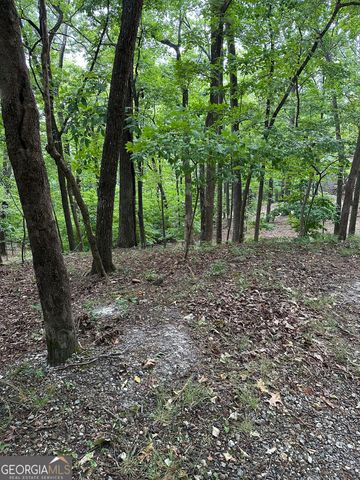 1225-1227 Oglethorpe Road, Jasper, GA 30143