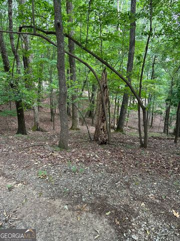 1225-1227 Oglethorpe Road, Jasper, GA 30143